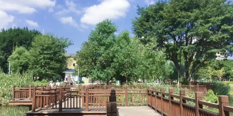 冰心公園