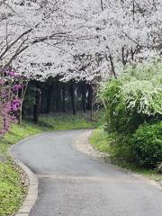 Chongshan Yinxiu Garden