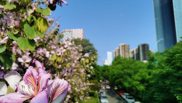 huan jiang bin shui da dao