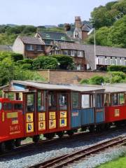 Cockle Train