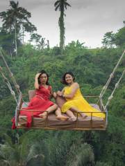 Ubud Jungle Swing