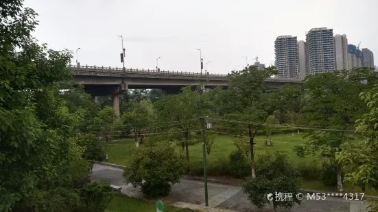 Zijiang No.2 Bridge, Xinhua