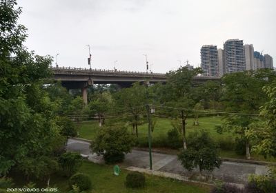 Zijiang No.2 Bridge, Xinhua