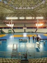 Amadeu Teixeira Arena