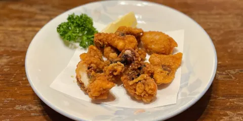 Kosaku Kawaguchiko Hoto Noodles