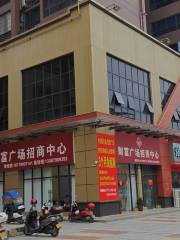 Pingnanxian Caifu Square