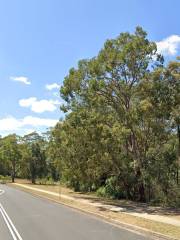 John Curtin Reserve