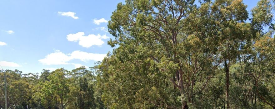 John Curtin Reserve