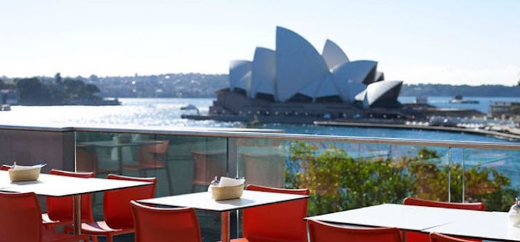MCA Cafe