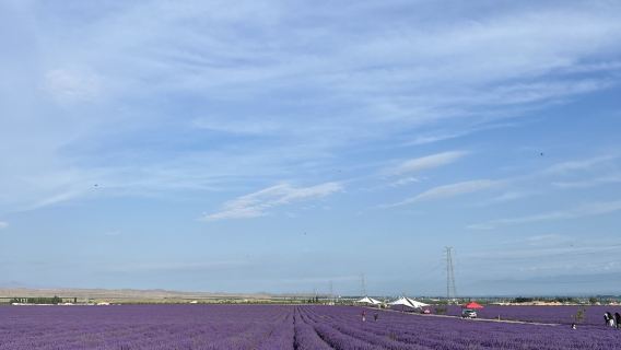 Ili Tianshan Flower Sea Scenic Area RV Campsite
