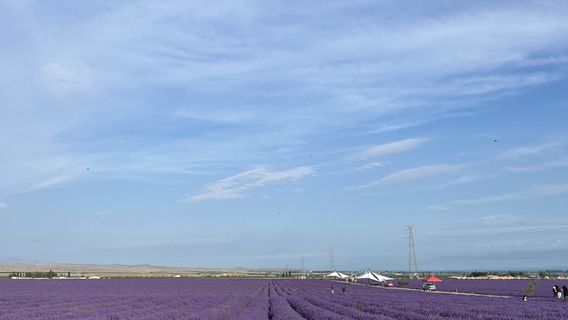 Ili Tianshan Flower Sea Tourist Scenic Area RV Campground