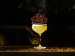 Bar Trigona
