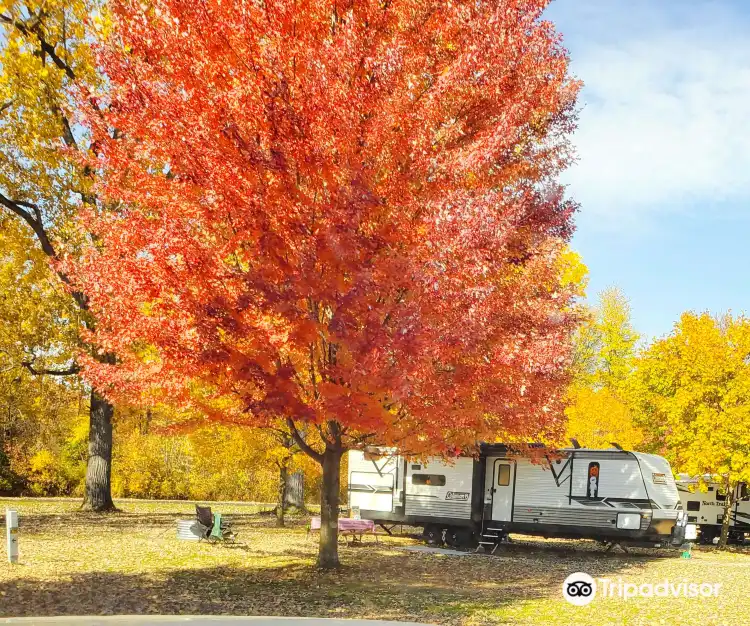 Hotels in Clay Township