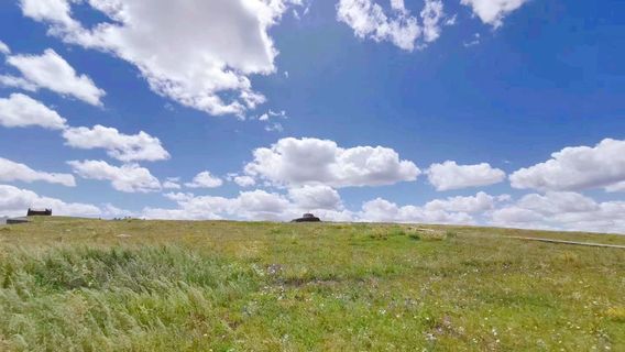 Xilamuren Grassland Tabu Ranch
