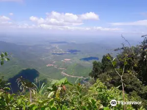 Pico Alto