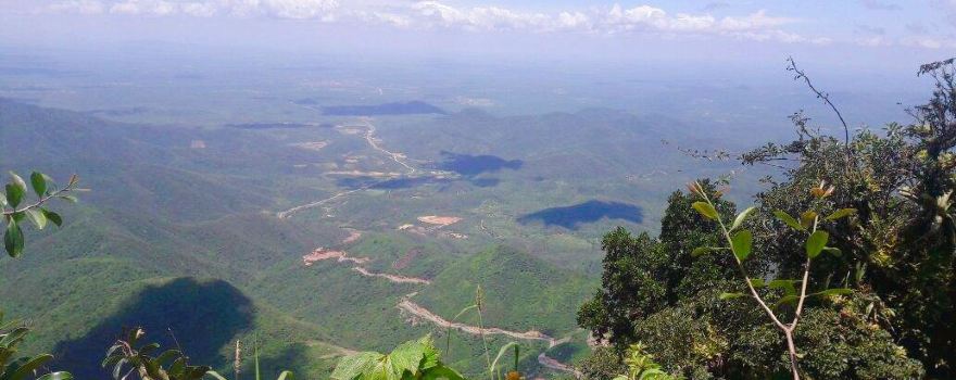 Pico Alto