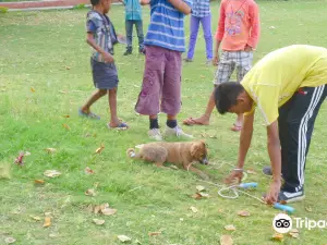 Gandhi Udyan, Raipur