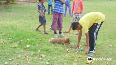 Gandhi Udyan, Raipur