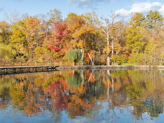 4_露水河國家森林公園