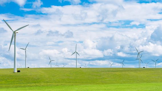 Day Tour to Huitengxile Grassland from Hohhot (Private or Carpooling Tour Available)