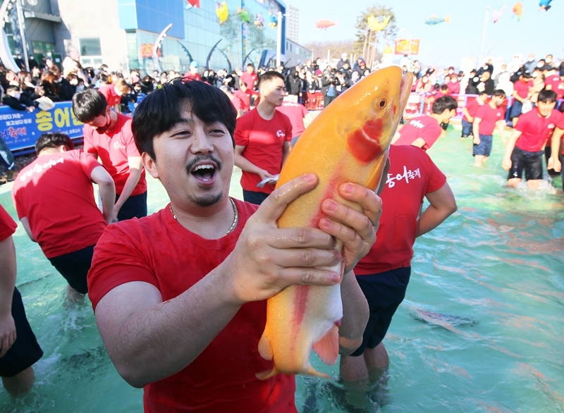 평창송어축제 | 평창