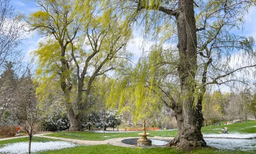 Edwards Gardens