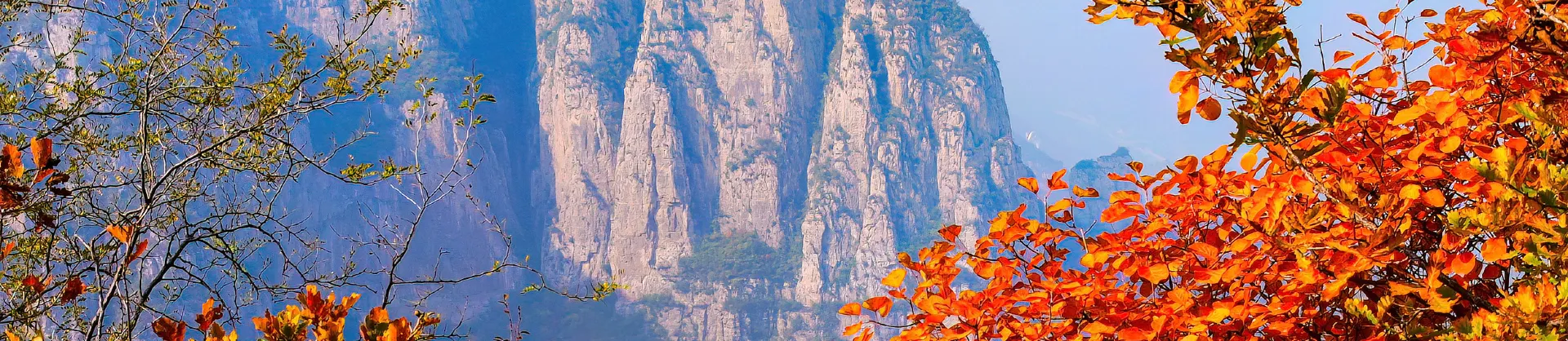 Fall Viewing Attractions