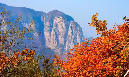 Tourist Attraction of Taihang Wuzhi Mountain