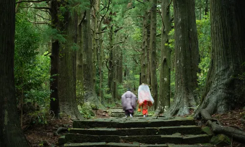 Kumano-Kodo Nakahechi Pilgrimage Route