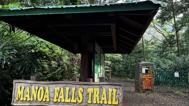 Mānoa Falls Trail