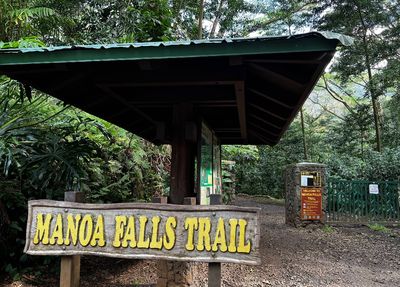 Mānoa Falls Trail