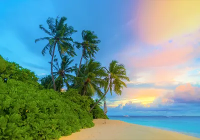 Hadahaa