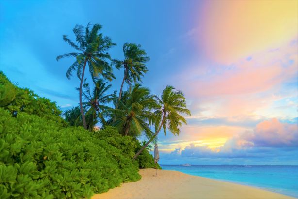 Hadahaa