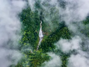 Ailao Mountain Nature Reserve