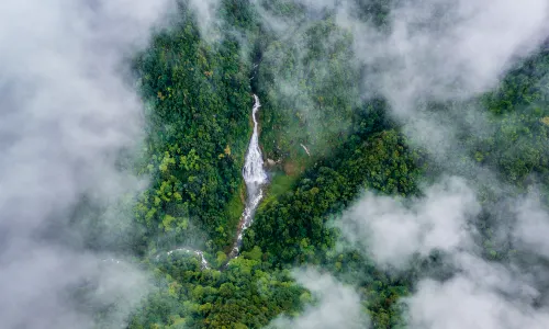 Ailao Mountain Nature Reserve
