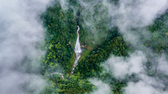 Ailao Mountain Nature Reserve