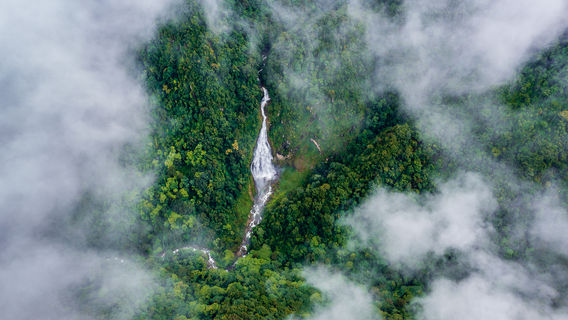 Ailao Mountain Nature Reserve