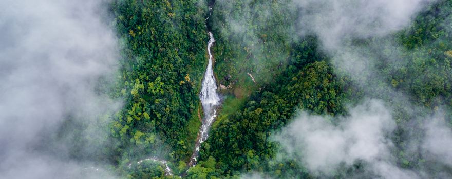 Ailao Mountain Nature Reserve