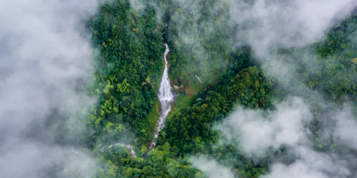 雲南哀牢山國家級自然保護區
