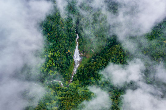 Ailao Mountain Nature Reserve