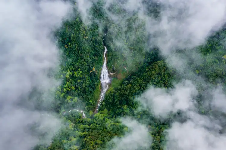Hotels near Ailao Mountain Nature Reserve