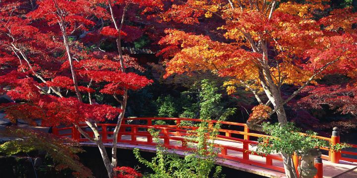 紅葉谷公園