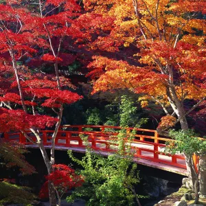 紅葉谷公園