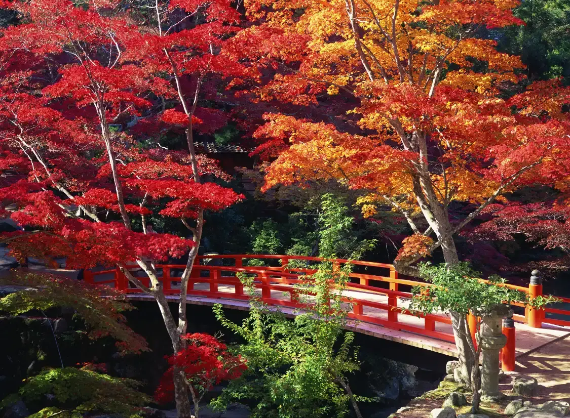 Hotels near Momijidani Park