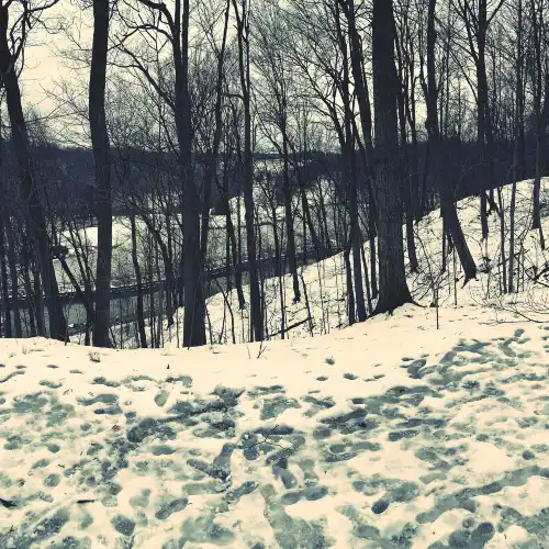 Resor Ski populer di Toronto