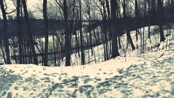 滑雪