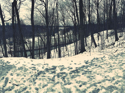 Earl Bales Park
