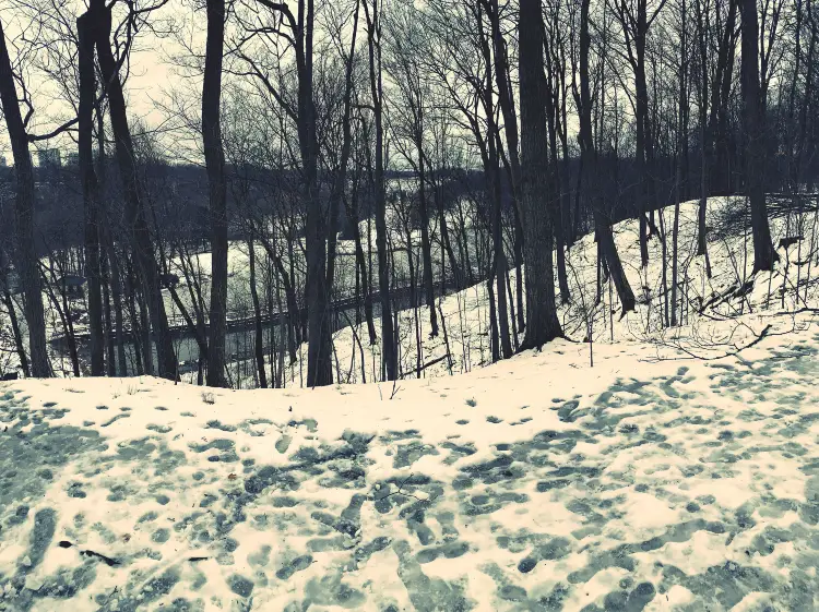 Popular Ski Resorts in Toronto