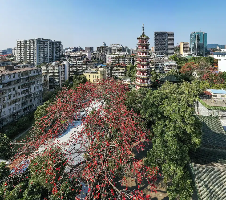 3_Temple of the Six Banyan Trees