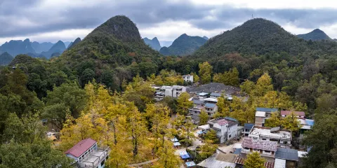 大桐木灣村